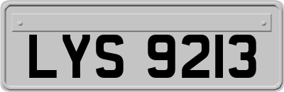 LYS9213