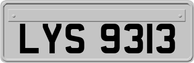 LYS9313