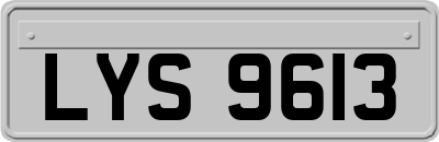 LYS9613