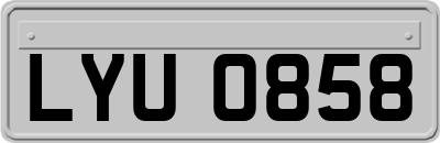 LYU0858