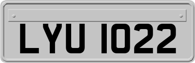 LYU1022