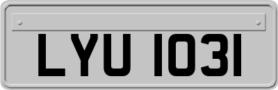 LYU1031