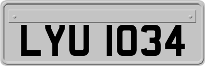 LYU1034