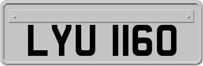 LYU1160