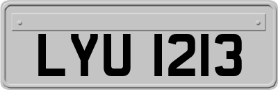 LYU1213