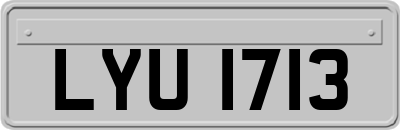 LYU1713