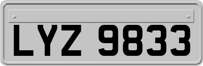 LYZ9833