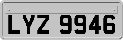 LYZ9946