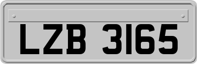 LZB3165