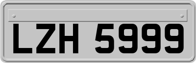 LZH5999