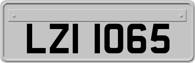 LZI1065