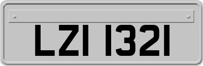 LZI1321