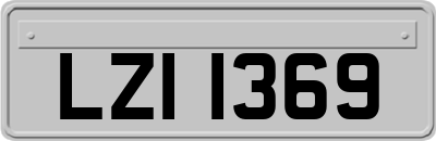 LZI1369