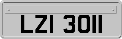 LZI3011