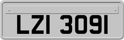 LZI3091