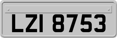 LZI8753