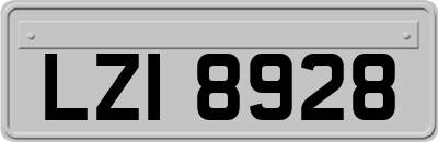 LZI8928