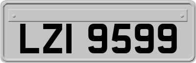 LZI9599