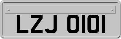 LZJ0101