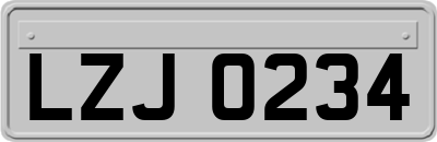 LZJ0234