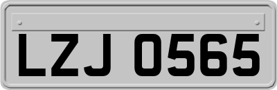 LZJ0565