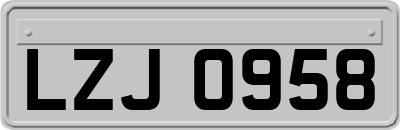 LZJ0958