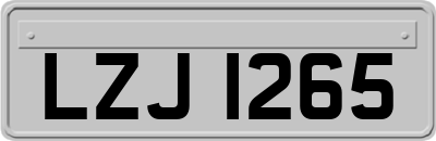 LZJ1265