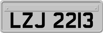 LZJ2213
