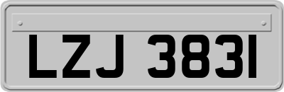 LZJ3831