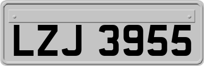 LZJ3955