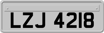 LZJ4218