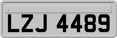 LZJ4489