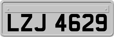 LZJ4629