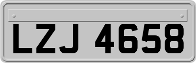 LZJ4658