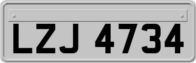 LZJ4734