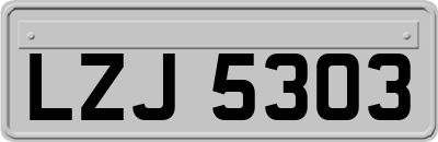 LZJ5303