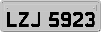 LZJ5923