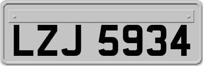 LZJ5934