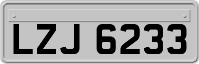 LZJ6233