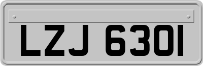 LZJ6301