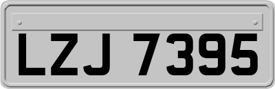LZJ7395