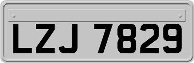 LZJ7829