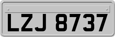LZJ8737