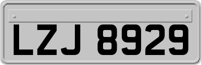 LZJ8929