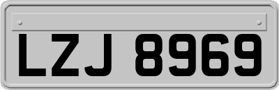 LZJ8969