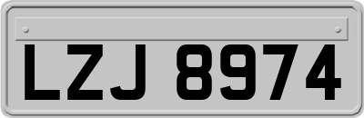 LZJ8974