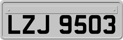 LZJ9503