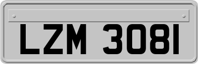 LZM3081