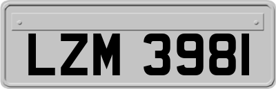 LZM3981