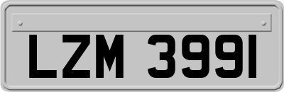 LZM3991